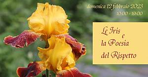 Le iris e la poesia del rispetto